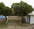 Camping Cala Bassa Ibiza