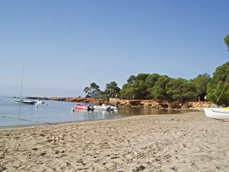 Cala pada beach ibiza photo