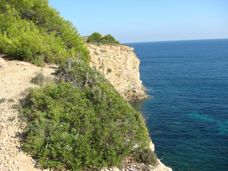 Cliff in ibiza photo