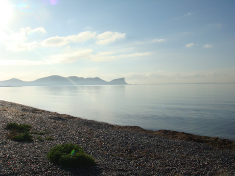 Nature and sea at ibiza photo