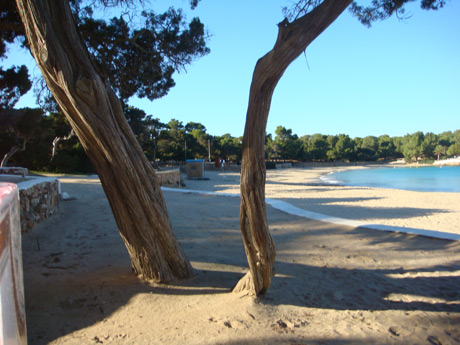 Small beach ibiza photo