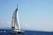 Catamaran In Regatta Near Ibiza